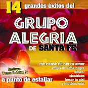 14 Grandes Éxitos