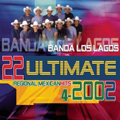 Banda Los Lagos: 22 Ultimate Regional Mexican Hits 2002