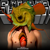Body Dysmorphic