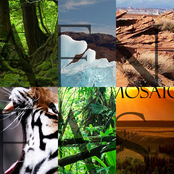 Mosaic EP