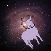 Intergalactic Police