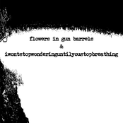 Split w/Flowers in Gun Barrels