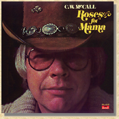 The Only Light by C.w. Mccall