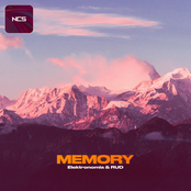 Memory - Single