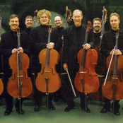 Sinfonia Lahti Cello & Bass Ensemble