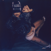 Blood on the Silver Screen: Director’s Cut