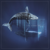 Reverb From The Depths