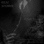 A Path Through Ashes