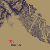Haircut