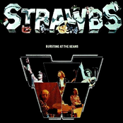 The Strawbs: Bursting At The Seams