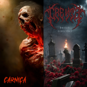 Carniça / Buried Tomorrow Single