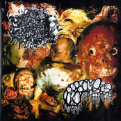 Maggots in a Bloated Corpse / Paraphimosis