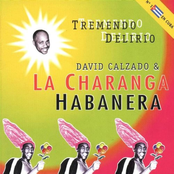 David Calzado Y Su Charanga Habanera: Tremendo Delirio