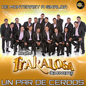 Un Par de Cerdos - Single