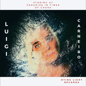 Staring At Paradise In Times Of Chaos