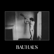 Bauhaus: In the Flat Field