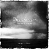 Beethoven: Piano Sonatas