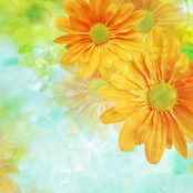 The Delicious Miracle