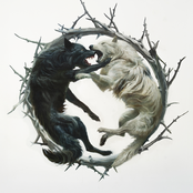 Stellar Circuits: Phantom : : Phoenix