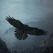 The Valley of Despair