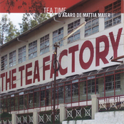 Tea Time