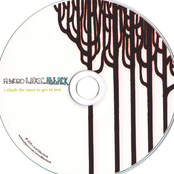 I Climb The Trees To Get To You