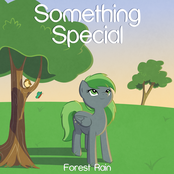 Something Special by Forest Rain