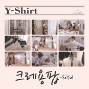 Y-Shirt