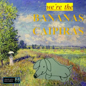 We're the Bananas Caipiras