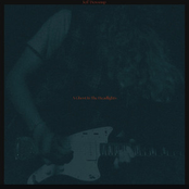 A Ghost In The Headlights