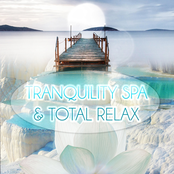 Tranquility Spa Universe