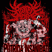 Putrida Insanidad