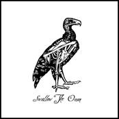 Latitude by Swallow The Ocean