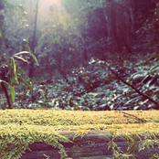 Meet the Rising Sun With Infinite Stillness