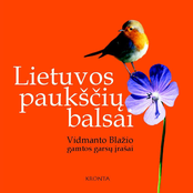 lietuvos paukščių balsai