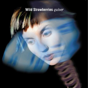 Mirror Mirror by Wild Strawberries