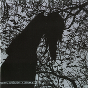 Лихолесье / Stielas Storhett / Мор