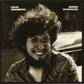 David Bromberg: Demon In Disguise