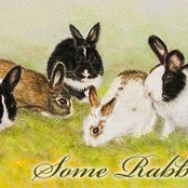 A few mics and some rabbits - very demo