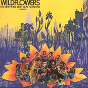 Wildflowers:The New York Loft Sessions 1