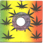 Clearance Bin/Breakbeat Malaria