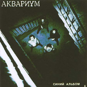 Синий альбом