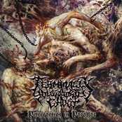 Putrefaction in Parallax