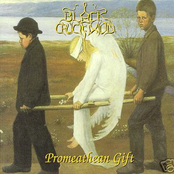 Promeathean Gift