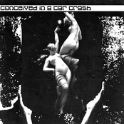 Conceived in a Car Crash