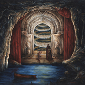 Amniotic Bewilderment