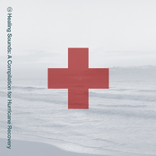 Healing Sounds: A Compilation for Hurricane Recovery