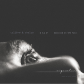E SI O / Dissolve In The Rain