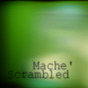 Scrambled Mache