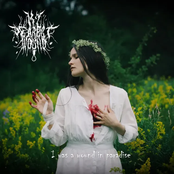 I Was A Wound In Paradise